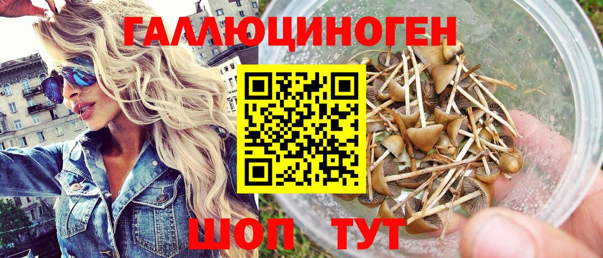Галлюциногенные грибы Psilocybe Юрга