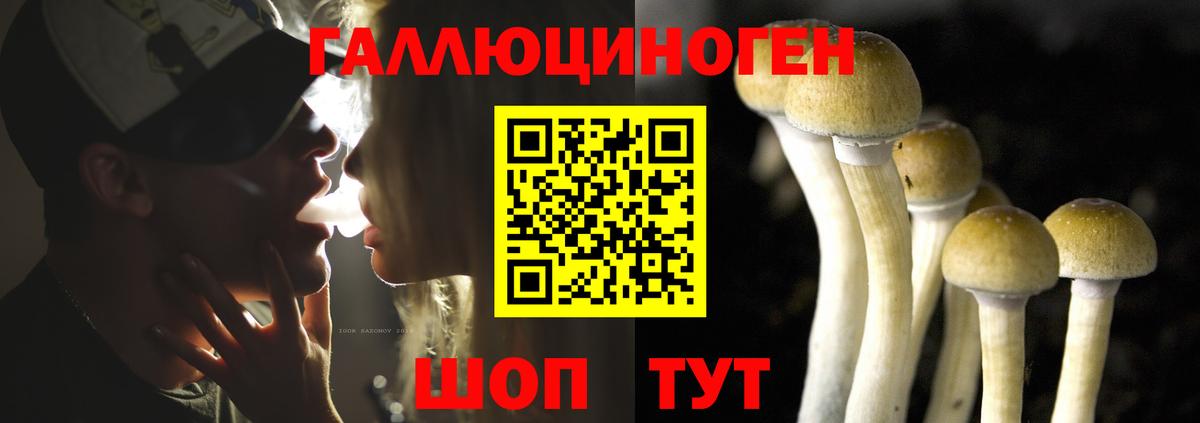 Псилоцибиновые грибы MAGIC MUSHROOMS  где продают наркотики  Юрга  Вход с VPN 